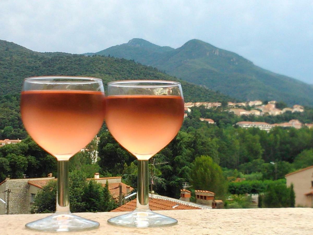 Mas Solar D'En Malcion Villa Amelie-les-Bains-Palalda Luaran gambar