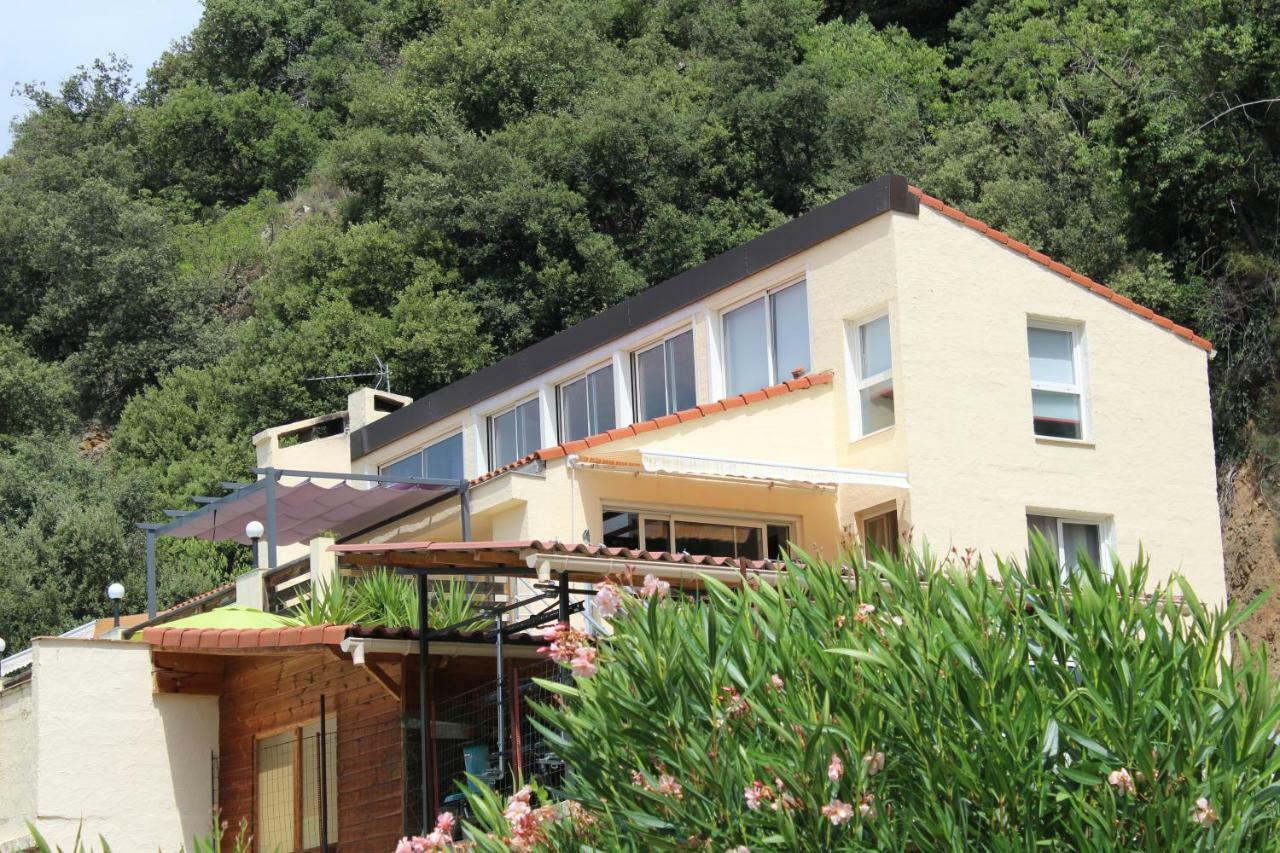Mas Solar D'En Malcion Villa Amelie-les-Bains-Palalda Luaran gambar