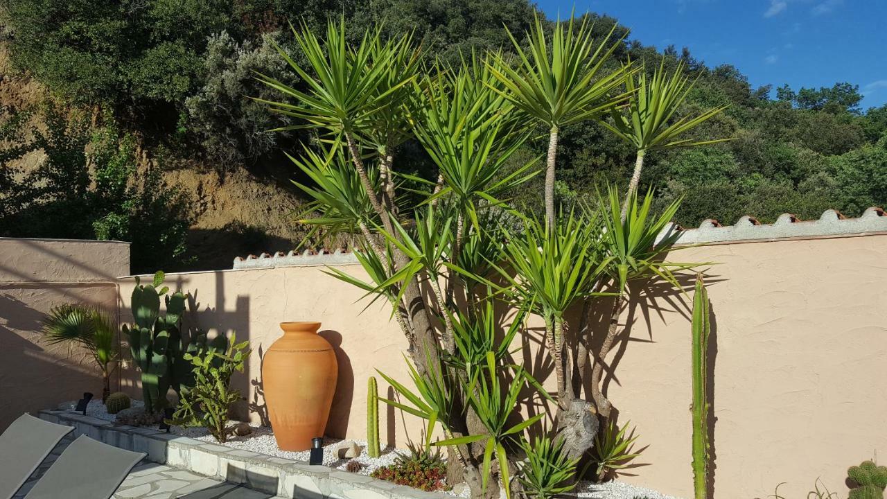 Mas Solar D'En Malcion Villa Amelie-les-Bains-Palalda Luaran gambar